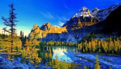 写一篇登山的文章